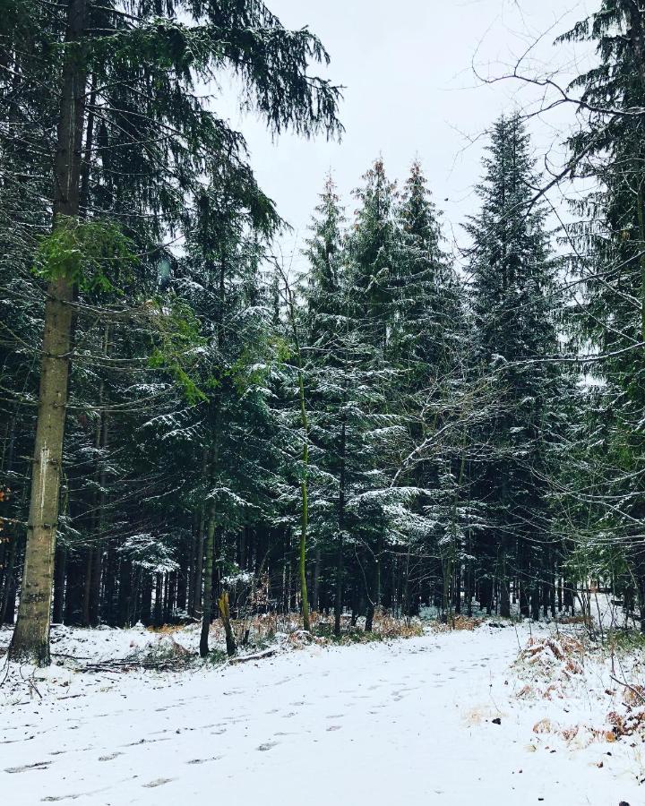 Jasnowice Beskid Wood Houses מראה חיצוני תמונה